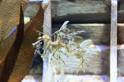 photo 819433