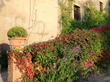 photo 821854