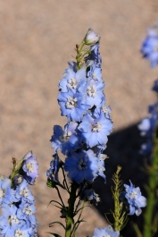 photo 829010