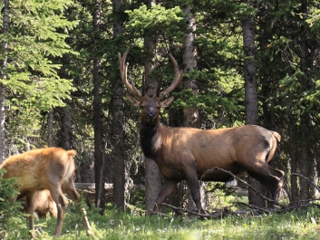 photo 829012
