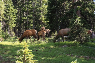 photo 829013