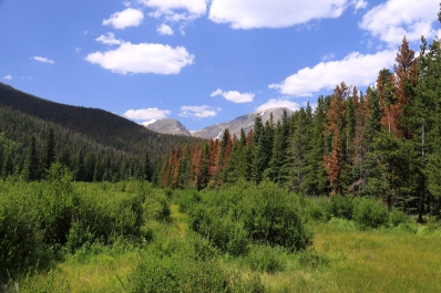 photo 829015