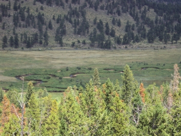 photo 829023