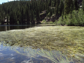 photo 829026