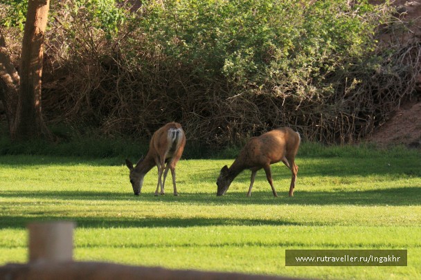 photo 829338