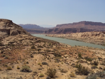 photo 829372