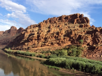 photo 829373
