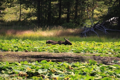 photo 837092