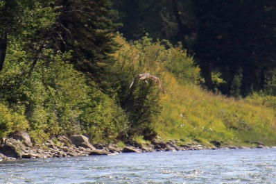 photo 837107