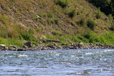 photo 837108
