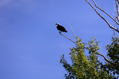 photo 837109