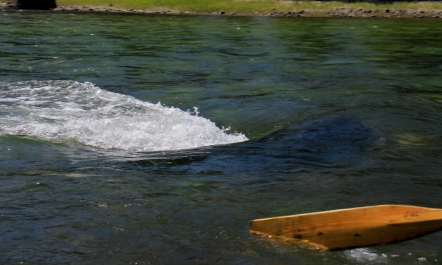 photo 837114
