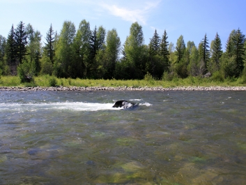 photo 837116