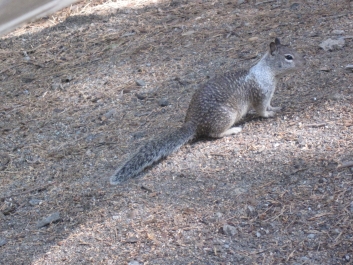 photo 837061