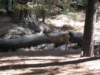 photo 837064