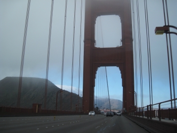 photo 839449