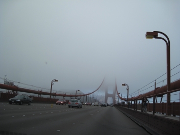 photo 839451
