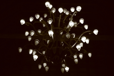 photo 857841