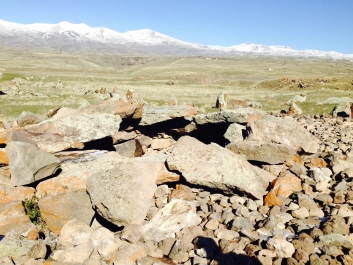 photo 916632