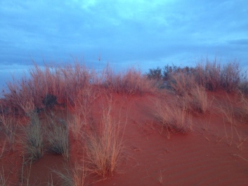 photo 1414246