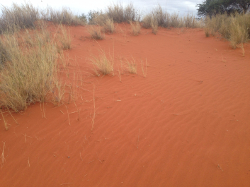 photo 1414247