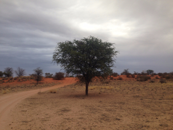 photo 1414248