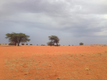 photo 1414249