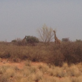 photo 1414250