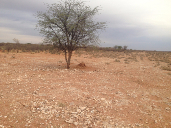photo 1414251