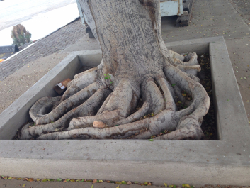photo 1414253