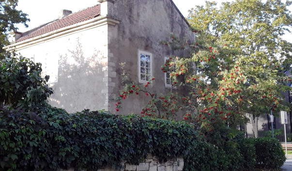 15. ��� ������ 18� ���. 20190917_174751 ��� 