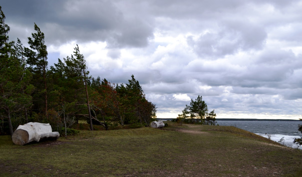 1.DSC_0291