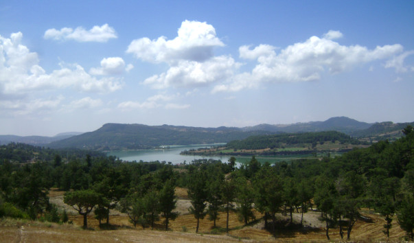 DSC05895