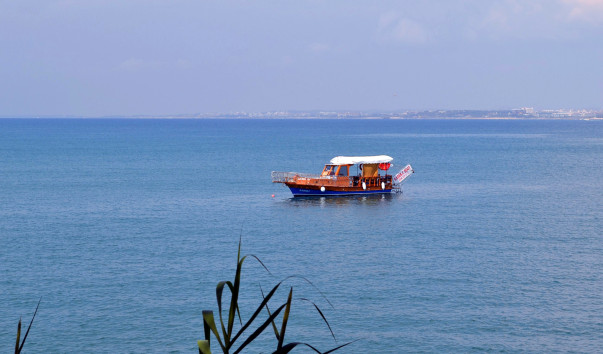DSC_0073 2