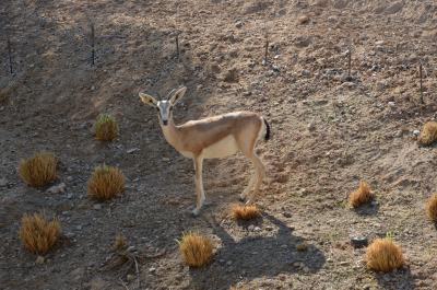 photo 1177791