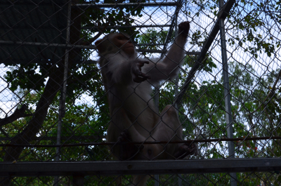 photo 1213680