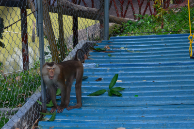 photo 1213681