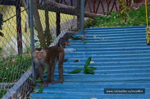 photo 1213681