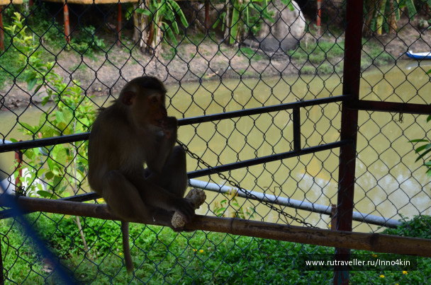 photo 1213682