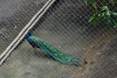 photo 1213683