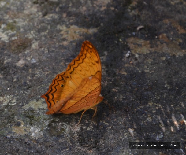 photo 1218625