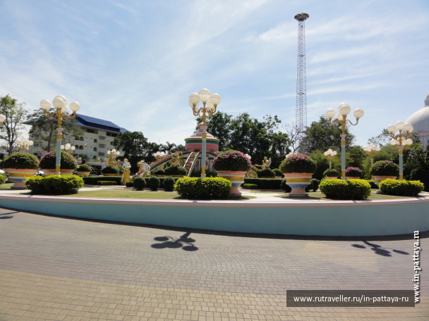 photo 66989
