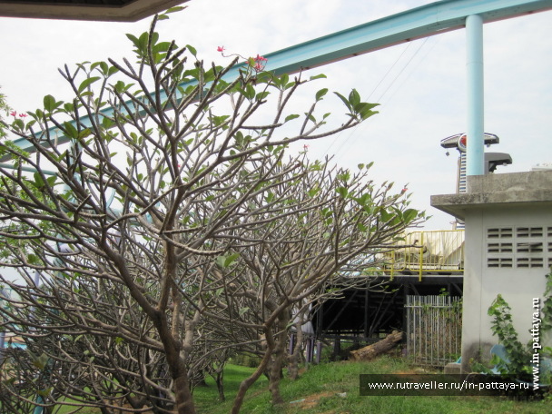 photo 103739