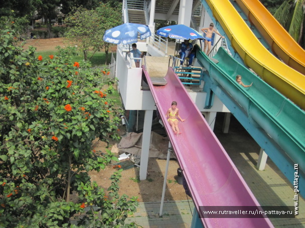 photo 103767