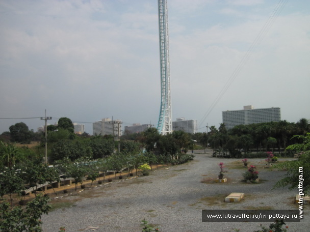 photo 103805
