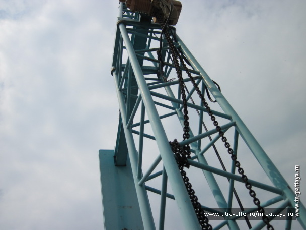 photo 103811