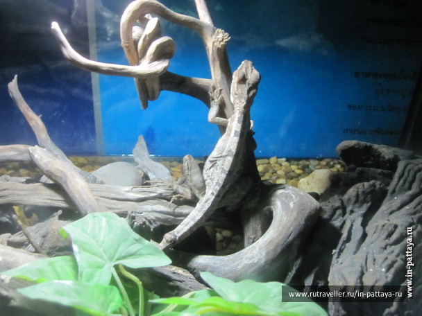 photo 150309