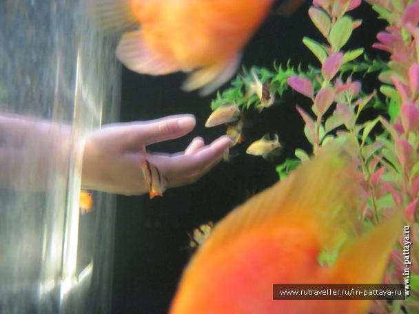 photo 150321