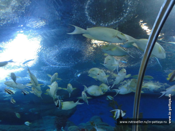 photo 150345