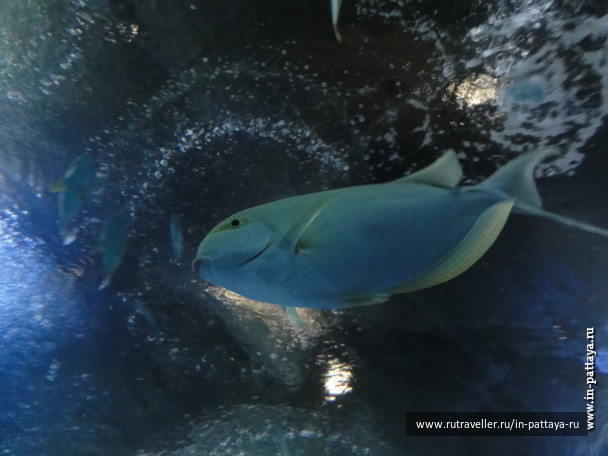 photo 150346